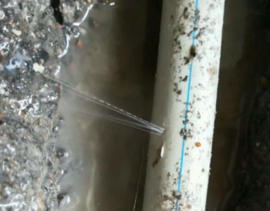 德化测漏水哪家好