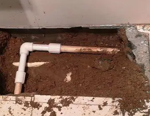 德化测漏水哪家好