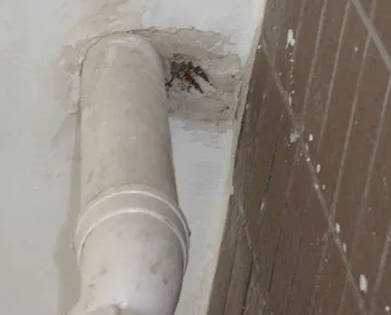 德化漏水检测哪家好